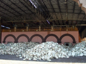 agave hearts at Casa Herradura, tequila processing plant