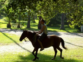 Andrew Wharton rides his adopted horse, Jorge, at the San Jose del Tajo RV motorhome park in Tlajomulco, Jalisco, Mexico, near Guadalajara