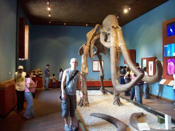 Andrew Wharton view fossils at Guadalajara's Regional Museum